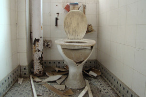 toilet bowl